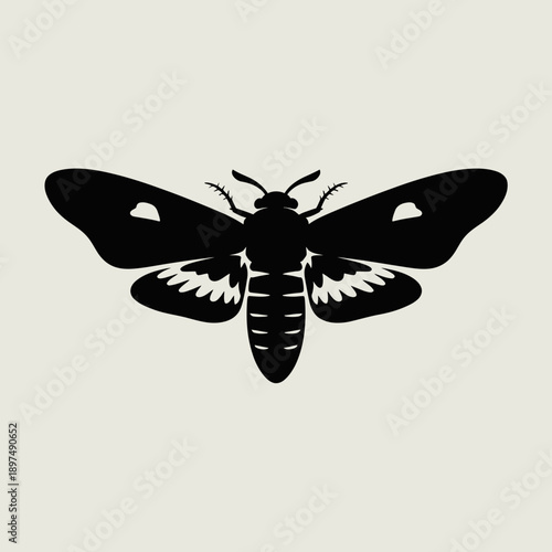 Black silhouette of a moth with intricate wing patterns, on a beige background, simple and graphic.