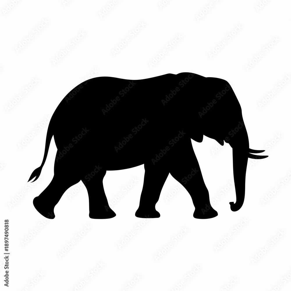 Fototapeta premium African elephant silhouette walking, large mammal, vector graphic