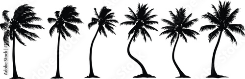 Silhouette palm trees illustration, tropical nature design, exotic tree shapes, botanical art, black vector trees, minimalist tropical landscape, wind motion