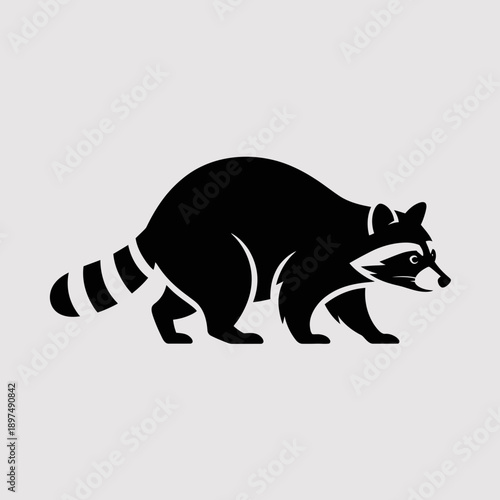 Raccoon silhouette with masked face, nocturnal animal, vector illustration