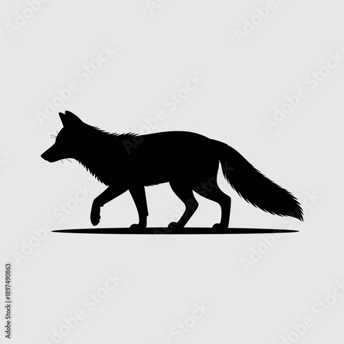 Walking fox in silhouette, elegant wild animal, vector graphic illustration