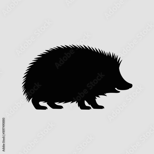 Black silhouette of a hedgehog curled up with spines visible on a gray background