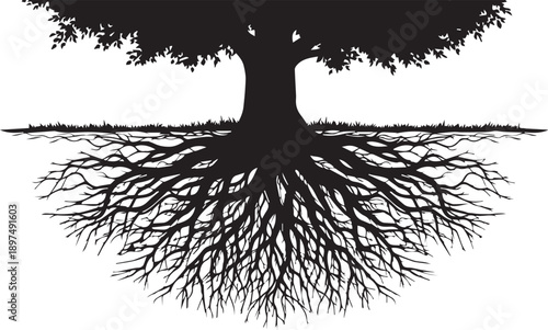 Tree roots silhouette deep underground showing growth and natural strong foundation vector