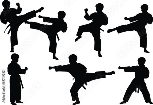 Martial arts silhouette poses, karate kick, taekwondo stance, black uniform fighters, combat training, self-defense moves, dynamic action scene