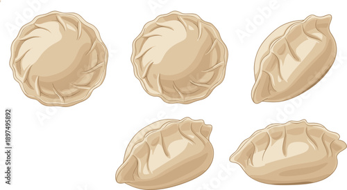 Dumplings Set Top and Side View Traditional Asian Dumpling Collection Isolated on White Background Vector Illustration