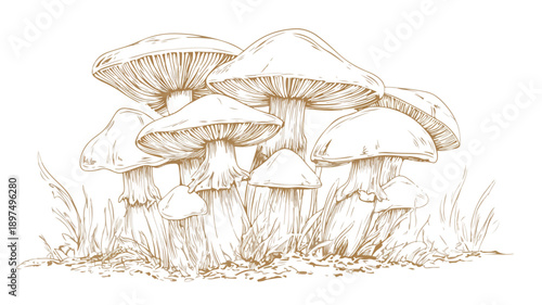 Creative Mushroom Farming Design Concept Vector Illustration Art