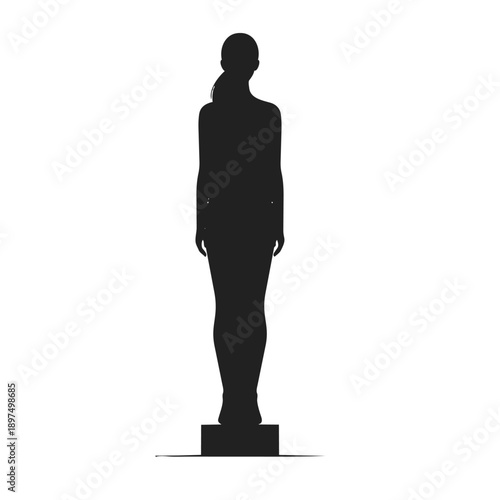 black silhouette of a Human Statue Performer