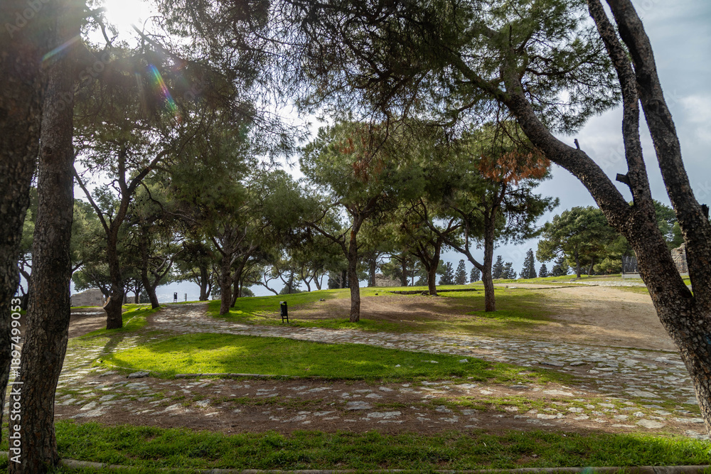 Obraz premium Scenic view of a park with pine trees and stone walkways inside the Kadifekale fortress in Izmir, Turkey. Green lawn and forest landscape under a cloudy sky during a day in January.