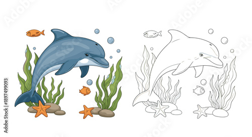 Happy dolphin jumps through the waves in this educational set that includes both a colored version and a detailed outline for coloring.