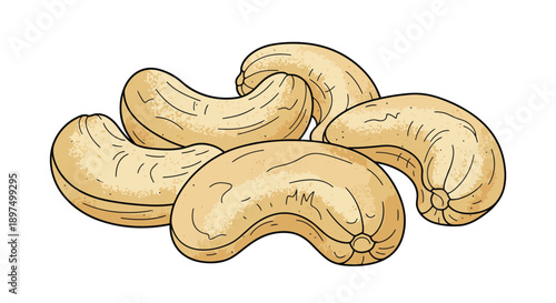 Group of roasted cashew nuts shown in a simple hand-drawn illustration style on a plain white background for culinary or snack-related designs.