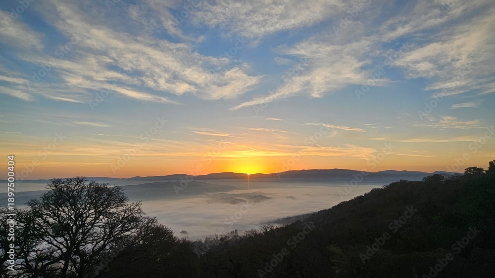 Obraz premium sunset over the river