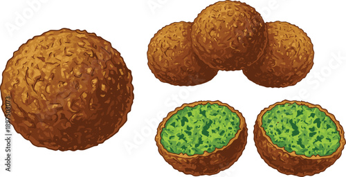 Falafel Balls Whole and Cut with Green Herb Filling Traditional Middle Eastern Street Food Isolated on White Vector