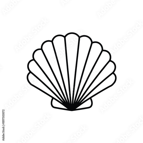 A stylized line drawing of a scallop seashell is presented against a white background.