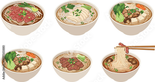 Pho Noodle Soup Set with Beef Chicken Tofu and Chopsticks Traditional Vietnamese Cuisine Bowls Isolated Vector