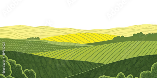 A stylized illustration of rolling agricultural fields with green and yellow crops