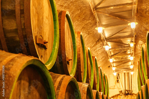 Bild auf Leinwand A row of wooden barrels with green bands are lined up in a cellar