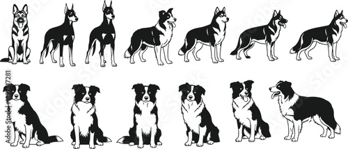 Dog breed silhouette set, German Shepherd Border Collie poses collection, domestic pet canine illustrations, black white vector design pack, artwork
