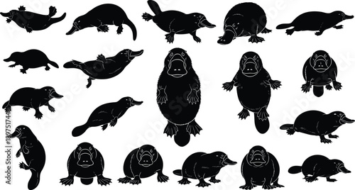 Platypus silhouette icon set, monotreme animal poses collection, Australian wildlife illustration, black isolated vector design pack, graphic, artwork, bundle, elements