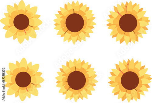 Sunflower vector illustration set with six yellow blooming flowers in flat modern style isolated on white background