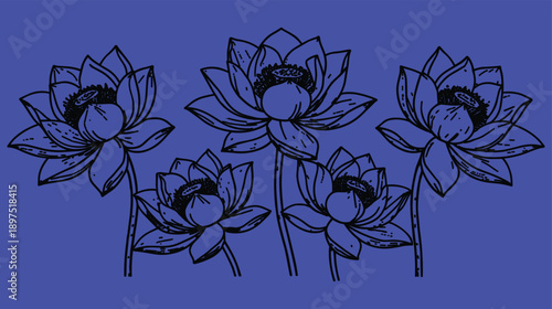 Lotus flower line art vector set with blooming water lily flowers in elegant hand drawn botanical style