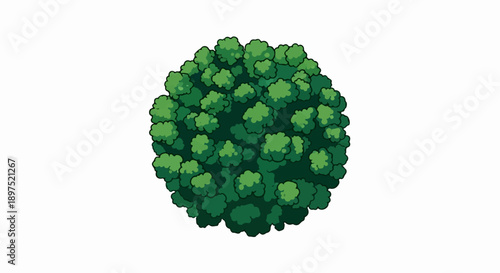 Top-down view of a circular cluster of stylized green trees