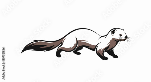 Stylized illustration of a white ferret with brown accents, on a white background