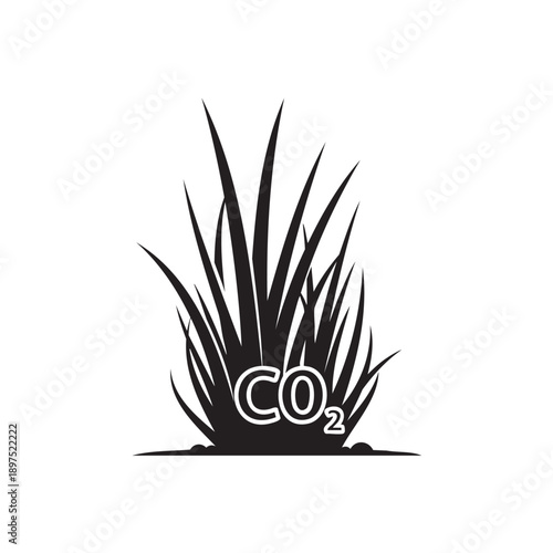 Hand drawn illustration of plant absorbing carbon dioxide from air