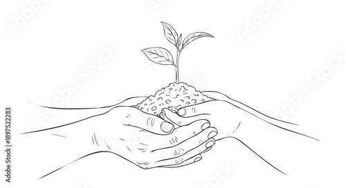 Hand drawn illustration of seedling growing from soil with roots