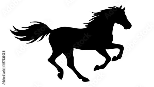 Beautiful horse standing in nature