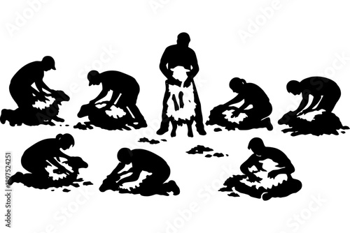 Silhouette of sheep shearers at work in group shearing session.