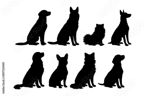 Silhouettes of diverse dog breeds sitting side by side.