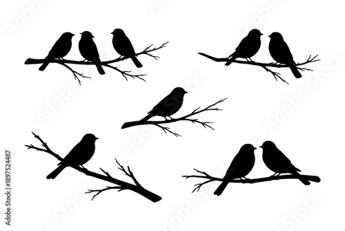 Silhouettes of birds perched on branches in various poses.