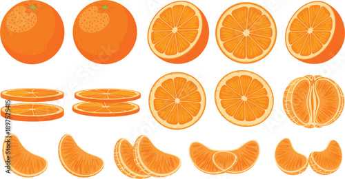 Fresh Orange Fruit Vector Set with Whole Oranges, Half Cuts, Slices, and Peeled Segments for Healthy Juice Branding, Food Recipes, and Grocery Design