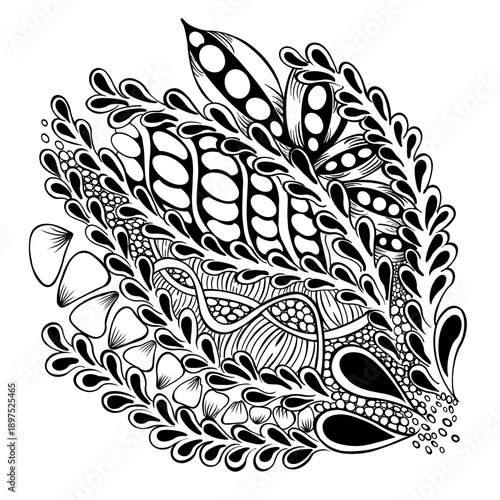 zentangle styles, biological motifs, intricate black-and-white illustration, seed pods, pea husks, pebbles, teardrops, leaves, three-dimensionality, large white shapes and solid black fill