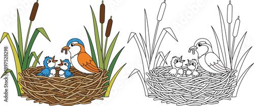 Mother Bird Feeding Chicks in Nest Adorable Nature Scene for Kids Coloring