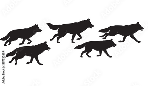 Five black wolf silhouettes running across a white background also transparent background wolves motion