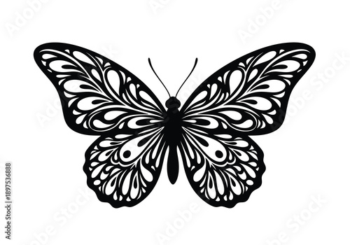 A beautiful black butterfly with intricate designs on its wings against a white background