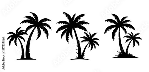 Tropical Palm Tree Silhouettes Vector Set