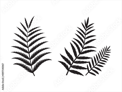 Fern leaf silhouettes collection, black silhouette of fern leaves set, Fern Leaf Silhouette Illustration