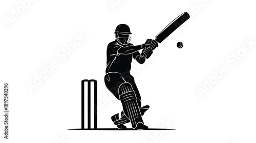A cricket batsman prepares to hit a ball black silhouette