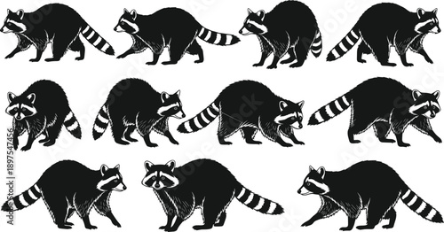 WebBlack vector silhouette set of raccoons for concepts of wildlife nature scavenging nocturnal animals forest creatures outdoors and mascot branding