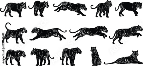 WebBlack vector silhouette set of tigers for concepts of wildlife nature power strength hunting safari zoo predatory animals and branding