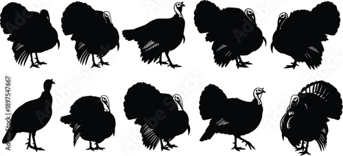 WebBlack vector silhouette set of turkeys for concepts of Thanksgiving dinner autumn harvest poultry farming wildlife hunting and festive branding