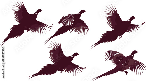 WebDark vector silhouette set of flying pheasants for concepts of upland game hunting wildlife conservation nature outdoors and bird watching