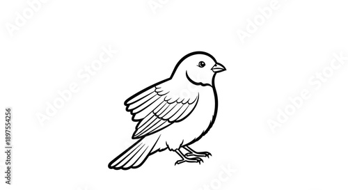 Simple Line Drawing of a Small Bird Perched 1.