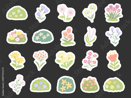 Flower plant garden set in scandinavian style with blooming meadow bushes stems leaves blossoms flora botany nature spring illustration elements