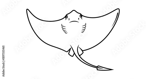 Simple Line Drawing of a Stingray Swimming Gracefully.