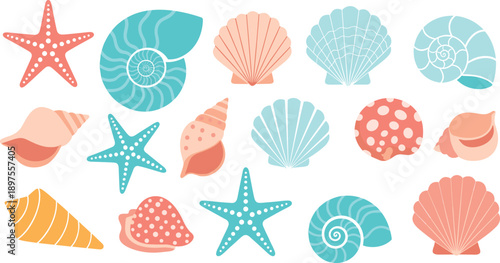 Sea Shell and Starfish Vector Illustration Set Featuring Colorful Nautical Marine Elements for Beach Summer Vacation and Coastal Themed Design