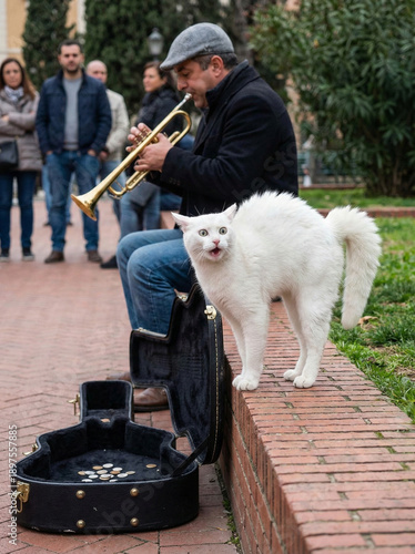 Serenade of Street Music: A street musician's trumpet performance captivates a fluffy, white cat, creating a moment of musical harmony amidst the urban landscape. 
