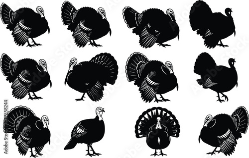 Turkey silhouettes set, Thanksgiving bird icons, poultry farm animals, autumn holiday symbols, black and white cad drawing flat vector illustration, nature.